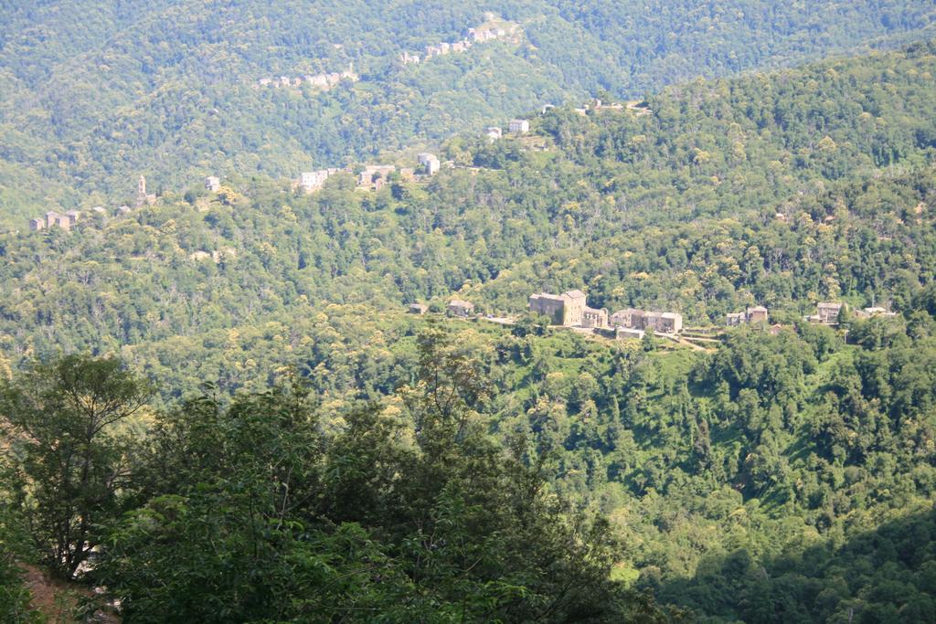 Le Refuge Orezza Piedicroce  Exterior photo